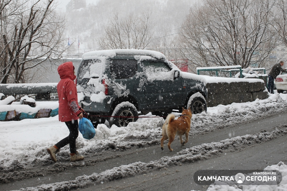 Апрельский снег. Фото: Виктор Гуменюк / информационное агентство "Камчатка". Фотография 16