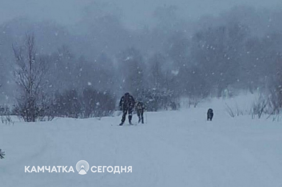 Спортивный лыжный переход между селами Тигиль и Седанка состоялся на Камчатке. Фото: администрация Тигильского района. Фотография 3