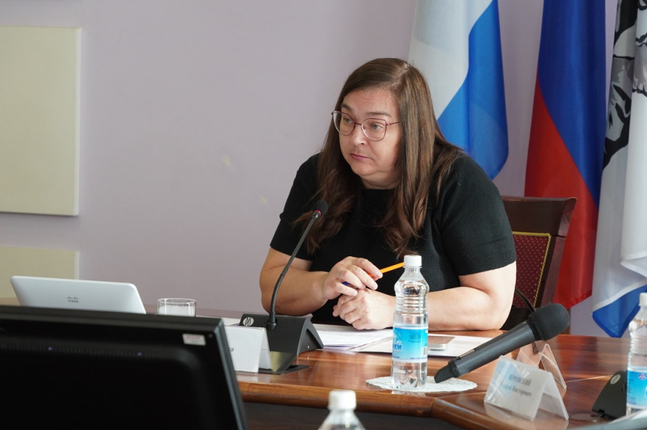 В Петропавловске-Камчатском будет новый микрорайон и удобные парковки. . Фотография 2