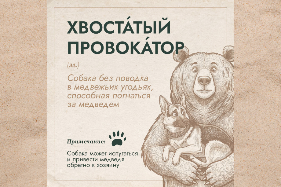 Проект «Земля медведя» выпустил толковый словарь медвежьих терминов. . Фотография 9