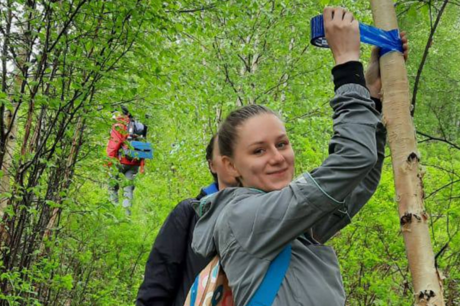 В поход на сопку Пионерская в окрестностях Эссо! Точно не заблудитесь!. Фото: тг. Вулканы Камчатки. Фотография 4