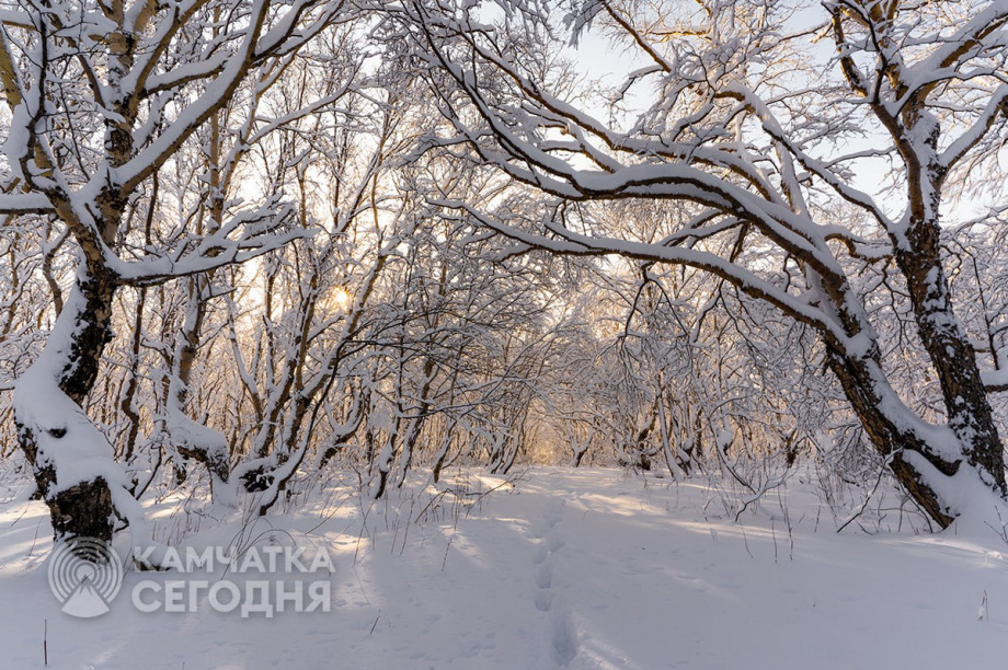 Камчатка застыла в зимнем солнце. Артем Безотечество. Фотография 5