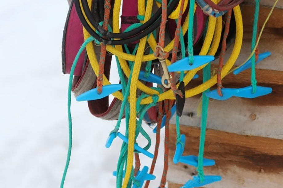 Чемпионы Левковские готовятся к «Берингии». Фото: Виктор Гуменюк. Фотография 40