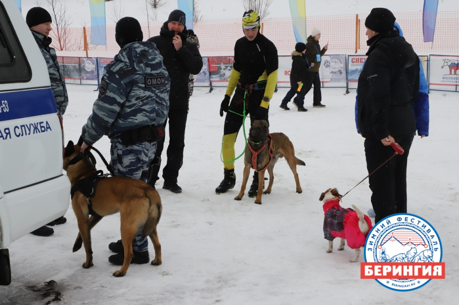 «Снежный путь – 2021». Фото: Виктор Гуменюк. Фотография 25