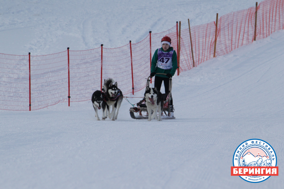 «Дюлин-2021». Фото: Виктор Гуменюк. Фотография 68