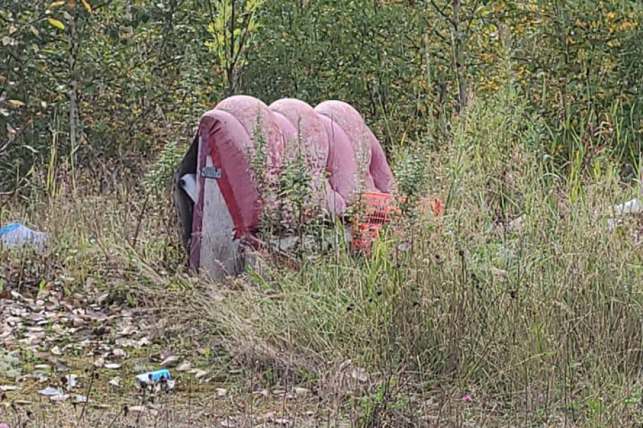  В лесополосе Елизовского района неизвестные устроили свалку. Фото: Экология Камчатка. Фотография 9