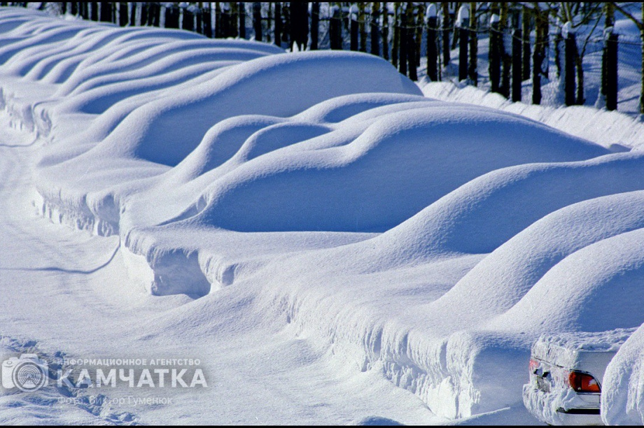 Всемирный день фотографии отмечает Камчатка. Фото: Виктор Гуменюк. Фотография 12