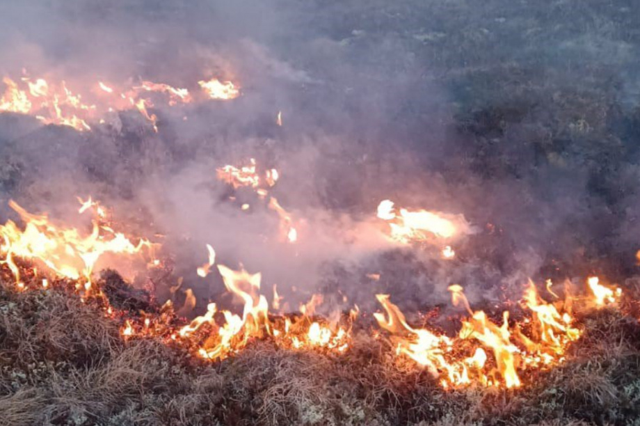 Горячий сезон у пожарной лесоохраны на Камчатке в разгаре. фото: kamgov.ru. Фотография 4