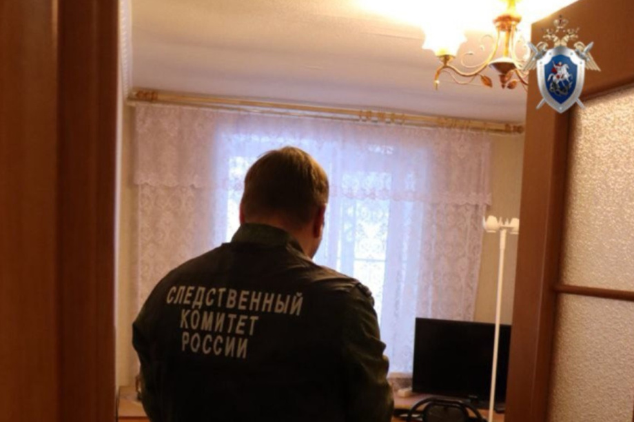 На Камчатке женщина подозревается в убийстве знакомого во время застолья. Фото: СУ СК России по Камчатскому краю. Фотография 1