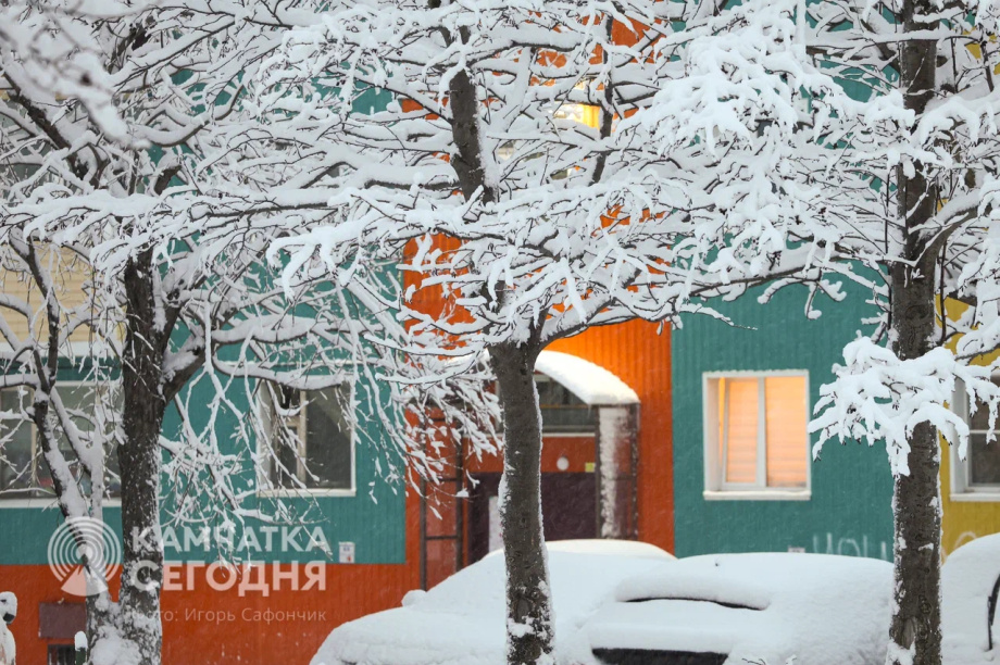 Камчатка: от пурги до пурги. Фото: ИА «Камчатка», архивные фотографии из общедоступных источников. Фотография 2