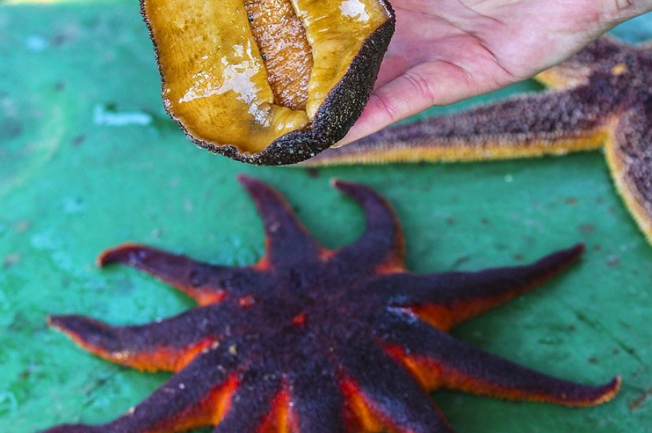 День водолаза. Фотоподборка. фото: Виктор Гуменюк/архив. Фотография 15