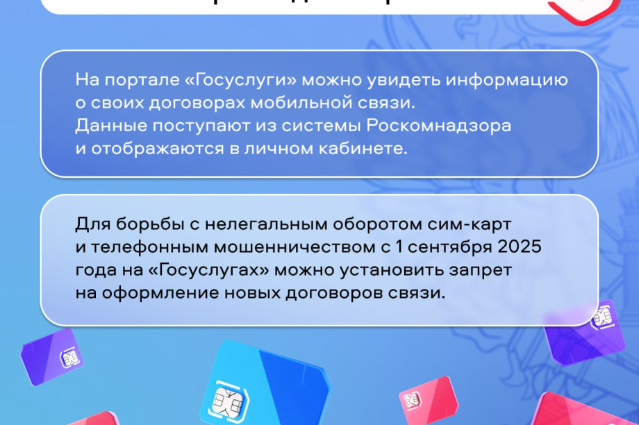 20 сим-SIM-карт на человека: как проверить свои номера. . Фотография 2