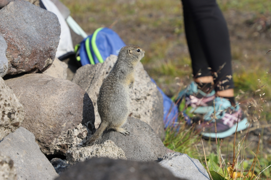 Спортивный День вулкана. Фото: Виктор Гуменюк. Фотография 84