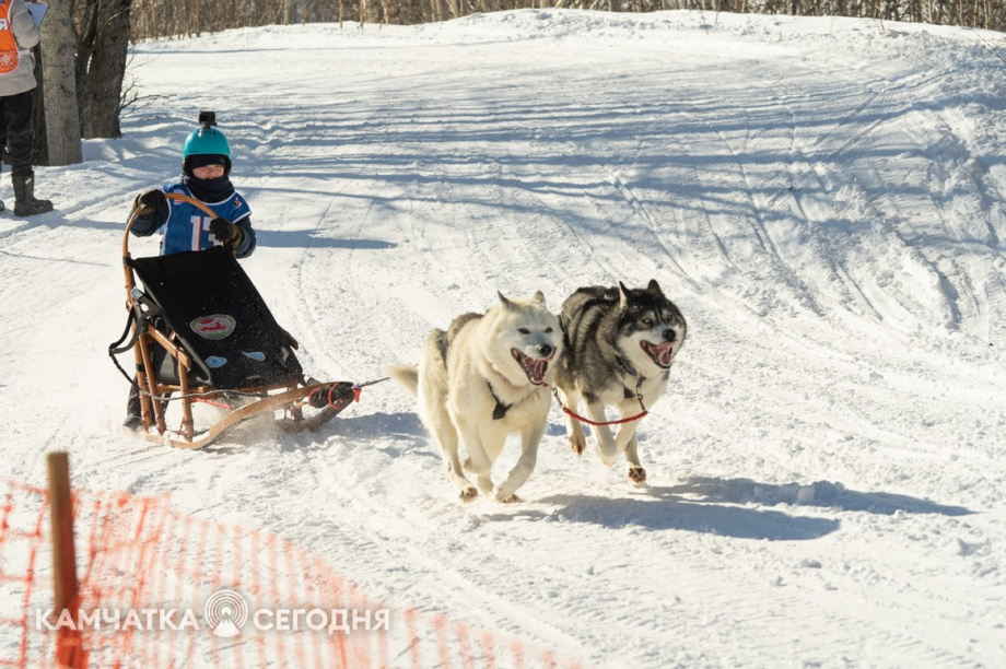 Детская гонка «Дюлин». Фоторепортаж. фото: Артем Безотечество. Фотография 6