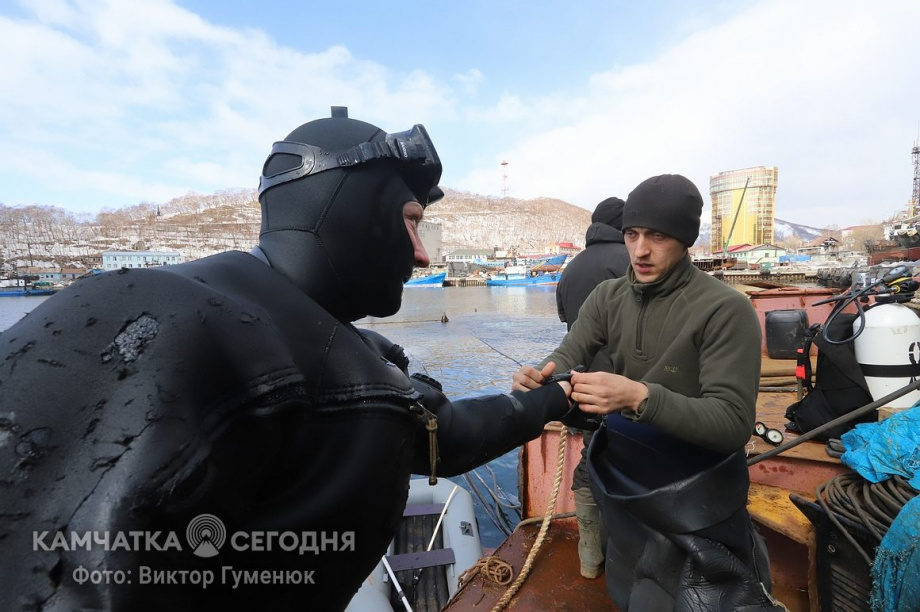 День водолаза. Фотоподборка. фото: Виктор Гуменюк/архив. Фотография 24