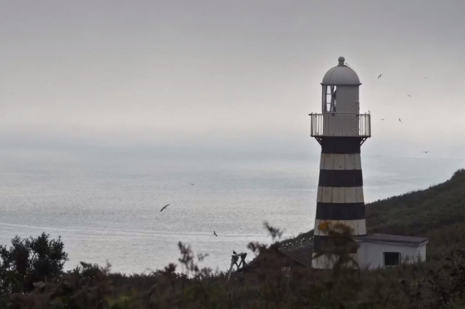 Романтика морской атмосферы и природы Камчатки. Фото: скрин видео Вячеслава Борисовского. Фотография 2