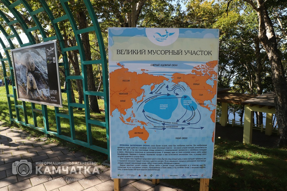 Экологический праздник «Море жизни» на Никольской сопке  в Петропавловске (фоторепортаж). . Фотография 26