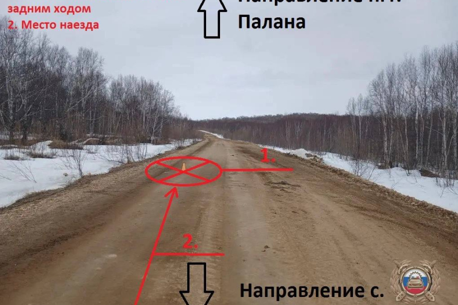 Пьяный водитель насмерть сбил пешехода на зимнике Анавгай — Палана . Фото: Госавтоинспекция Камчатского края
