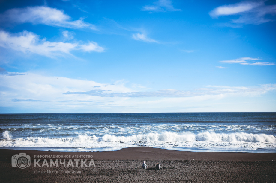 Осенний Тихий океан поразил горожан буйством стихии (фоторепортаж). Фото: «Камчатка Сегодня» \ Игорь Сафончик. Фотография 22