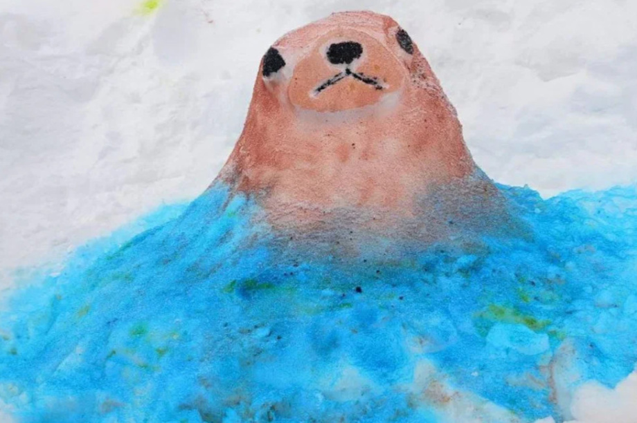 Жители Камчатки создали снежные скульптуры обитателей  местных заповедников. Фото: пресс-служба Кроноцкого заповедника. Фотография 10