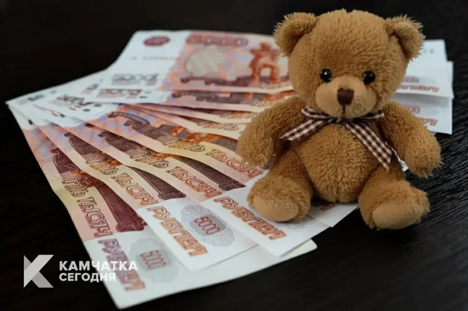 Ежегодная семейная выплата на Камчатке: как вернуть часть НДФЛ за двоих детей. 
