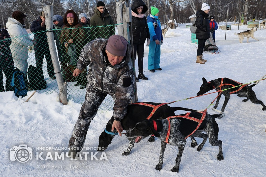 Гонка на собачьих упряжках «Хальч Тхсаном». Фоторепортаж  . Фото: Виктор Гуменюк. Фотография 31