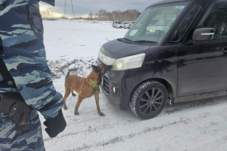 Полицейские Камчатки активизировались в борьбе с «закладчиками». Фото: УМВД России по Камчатскому краю. Фотография 3