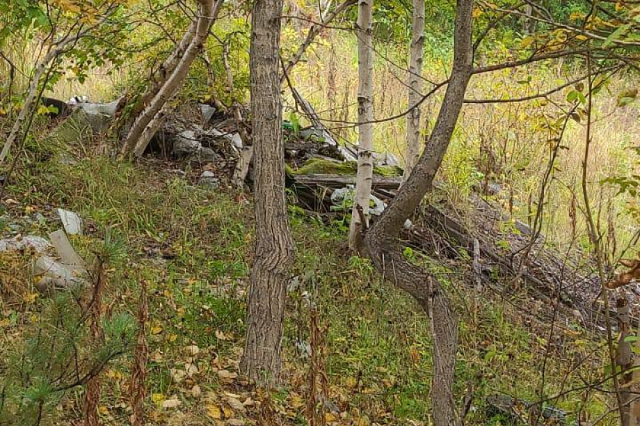  В лесополосе Елизовского района неизвестные устроили свалку. Фото: Экология Камчатка. Фотография 3