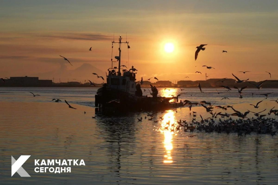 На Камчатке стартует фестиваль «Камчатка рыбацкая». ИА Камчатка