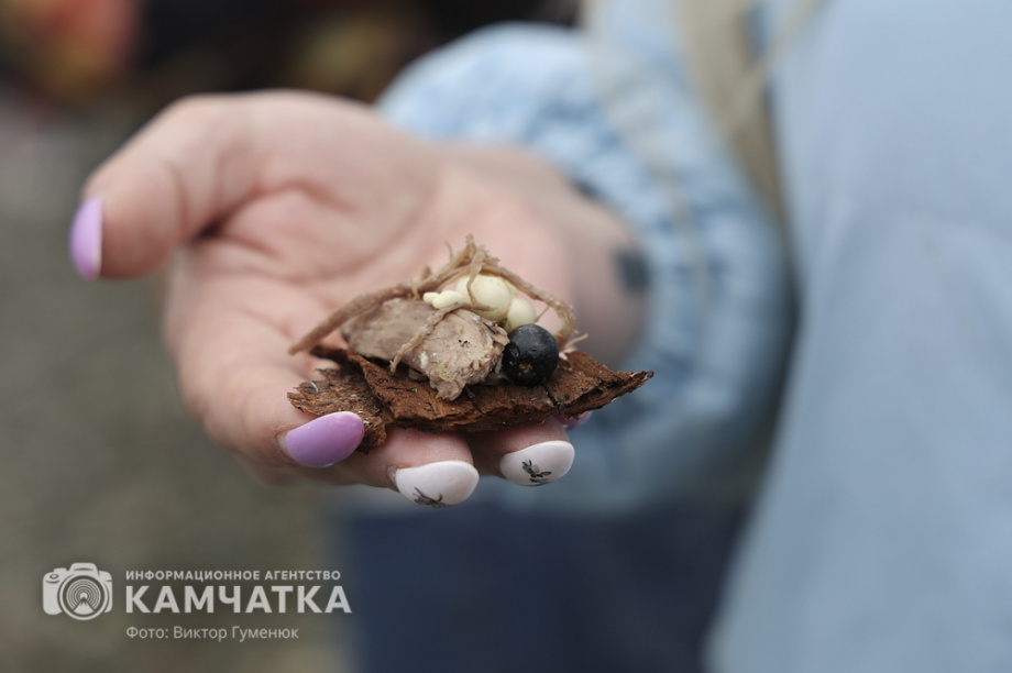 Национальный обрядовый праздник КМНС Камчатки провели по корякским и ительменским традициям. Фото: ИА «Камчатка»\Виктор Гуменюк. Фотография 15