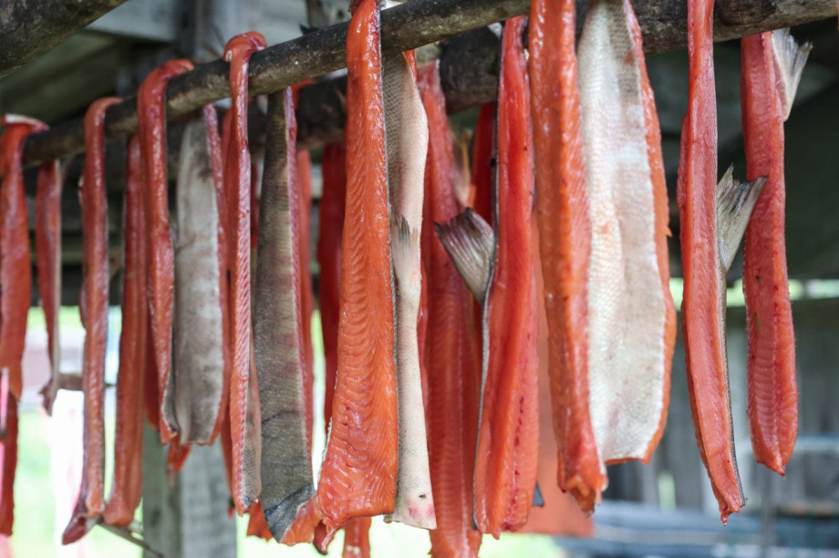 Путешественник из Удомля отправляется в новую камчатскую экспедицию. Фото: t.me/Anatoly_Chernyavskiy. Фотография 8