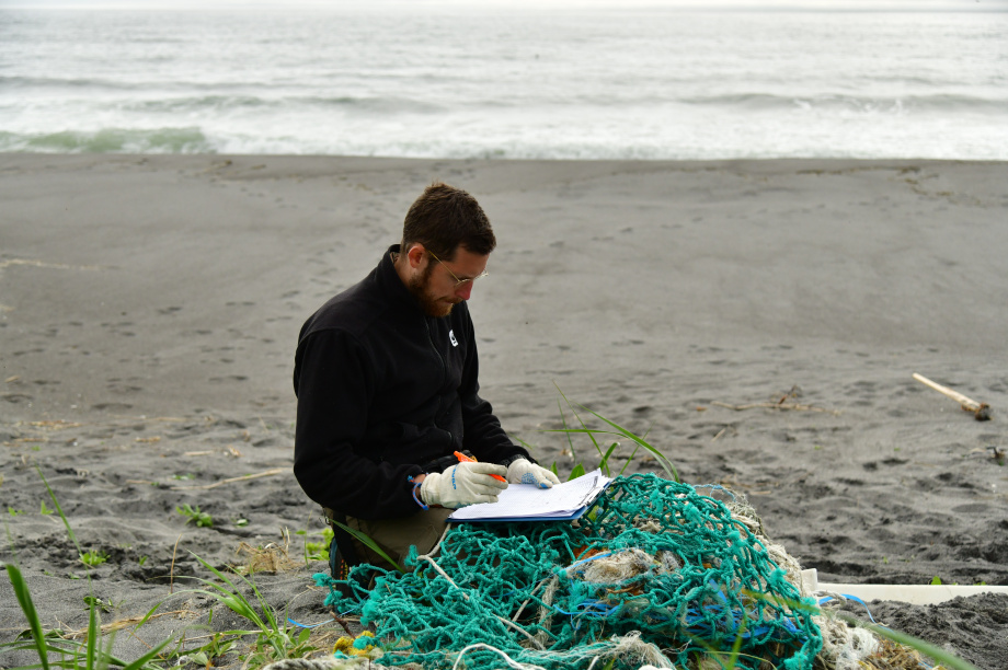 Ученые выяснили, какой вид мусора угрожает морским животным Камчатки. . Фотография 2