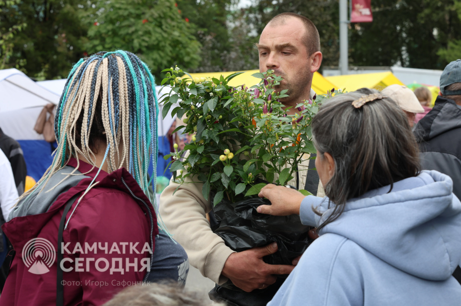 «Елизовская осень-2025» в лицах и эмоциях (фоторепортаж). . Фотография 33