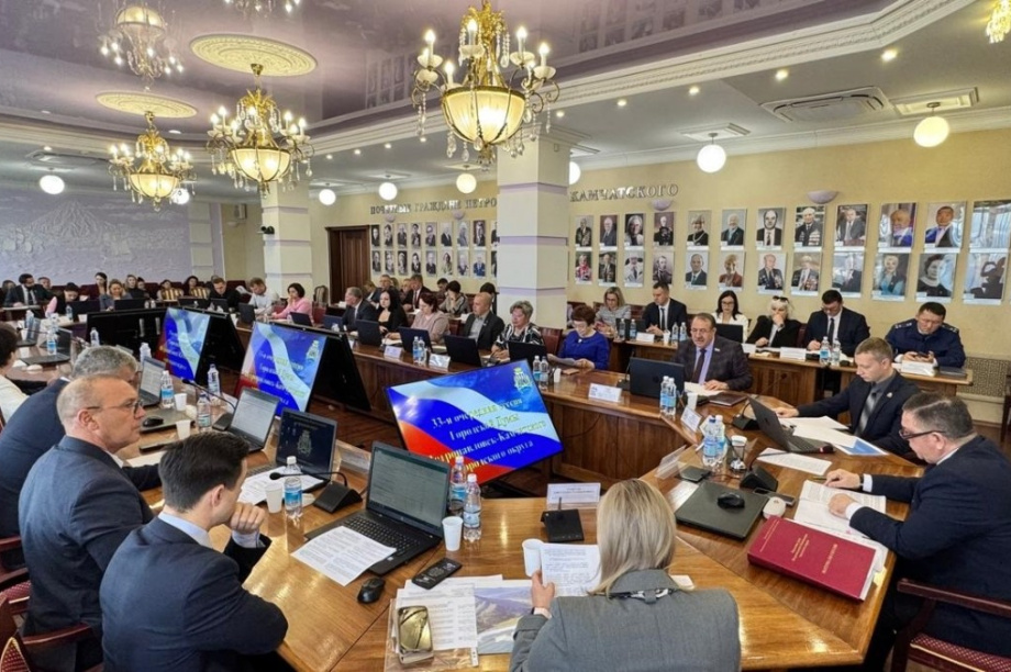 Городские депутаты проверяют реализацию Народной программы в столице Камчатки. Фото: Городская Дума