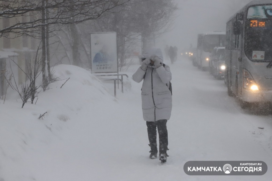Заснеженный Петропавловск: фоторепортаж Виктора Гуменюка. Фото: Виктор Гуменюк. Фотография 9