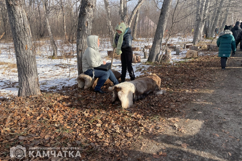 Обрядовый праздник Хололо отметили в Паратунке 9 ноября. фото: Игорь Ходжер. Фотография 10