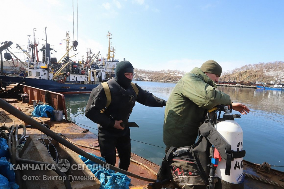 День водолаза. Фотоподборка. фото: Виктор Гуменюк/архив. Фотография 19