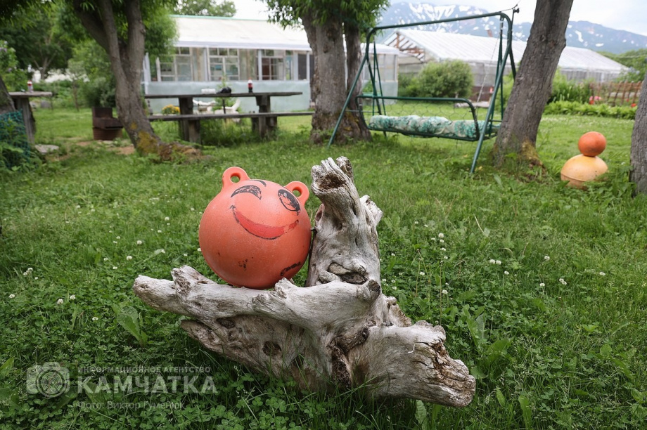 Волшебные сады Паужетки. Фото: Виктор Гуменюк. Фотография 58