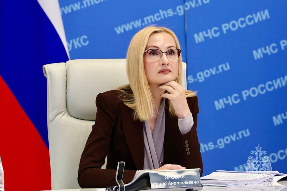 МЧС поддержало инициативы Яровой по сейсмобезопасности Камчатки и Дальнего Востока. . Фотография 2