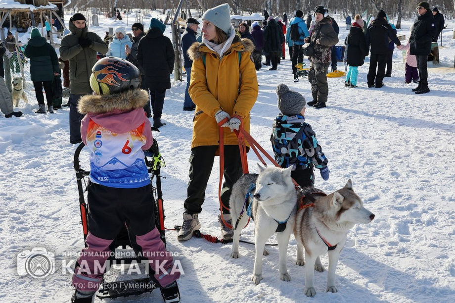 Гонка на собачьих упряжках «Хальч Тхсаном». Фоторепортаж  . Фото: Виктор Гуменюк. Фотография 45