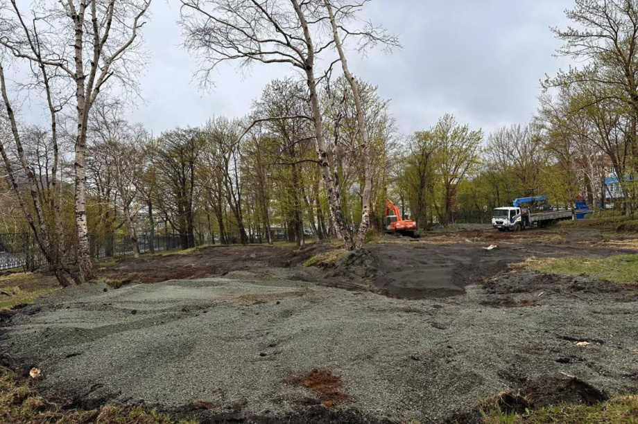 Парк "Электрон" в столице Камчатки благоустроят в два этапа. Фото: kamgov.ru. Фотография 3