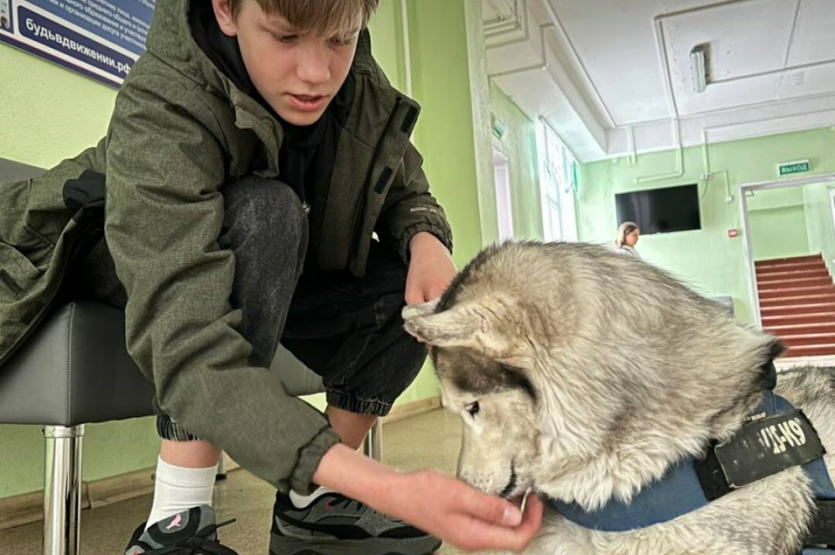 Кинологи Камчатки проводят уроки для школьников. . Фотография 1