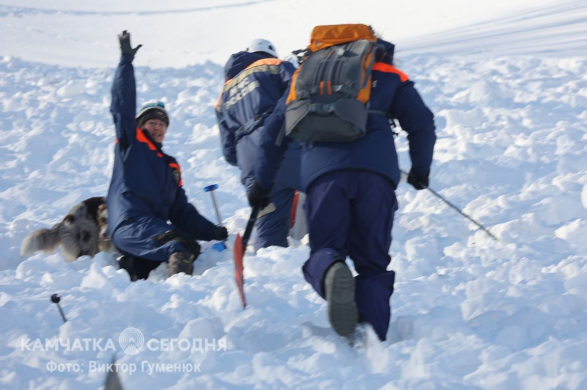 Тренировка по поиску людей в лавинах на Камчатке. Фоторепортаж. Фото: Виктор Гуменюк/ИА "Камчатка". Фотография 2
