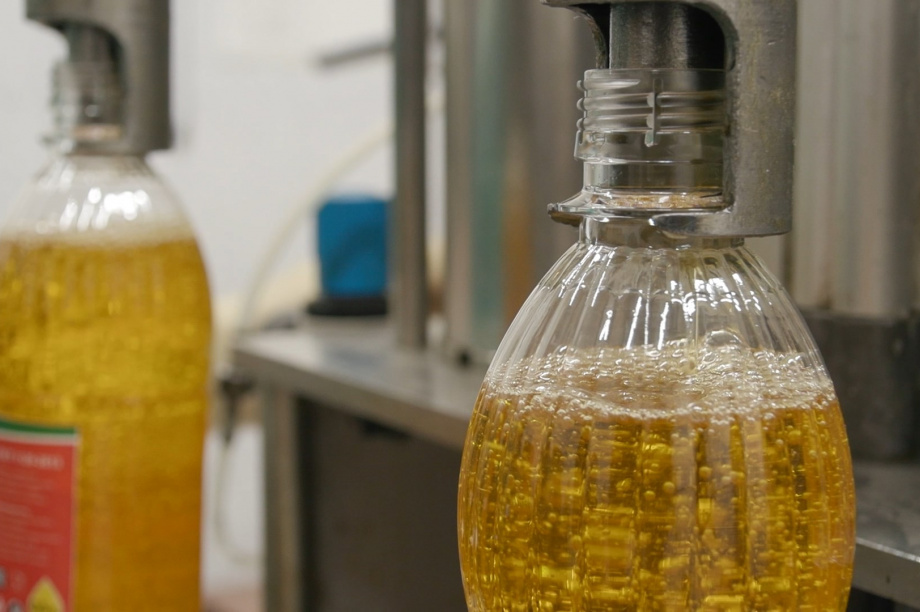 «Камчатское» растительное масло появилось на прилавках. Фото: правительство Камчатского края. Фотография 1