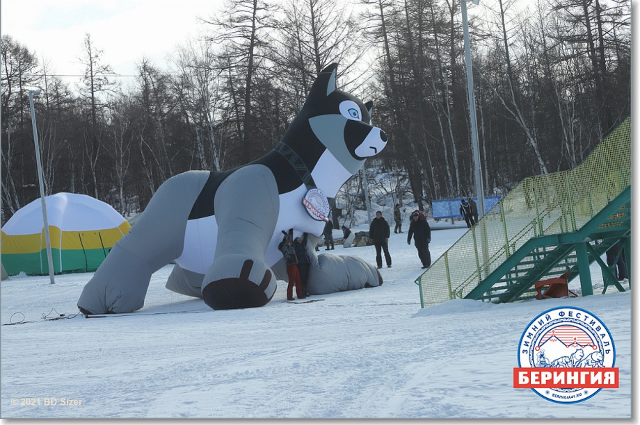 «Берингия»: подготовка к гонке. Фото: Виктор Гуменюк. Фотография 18