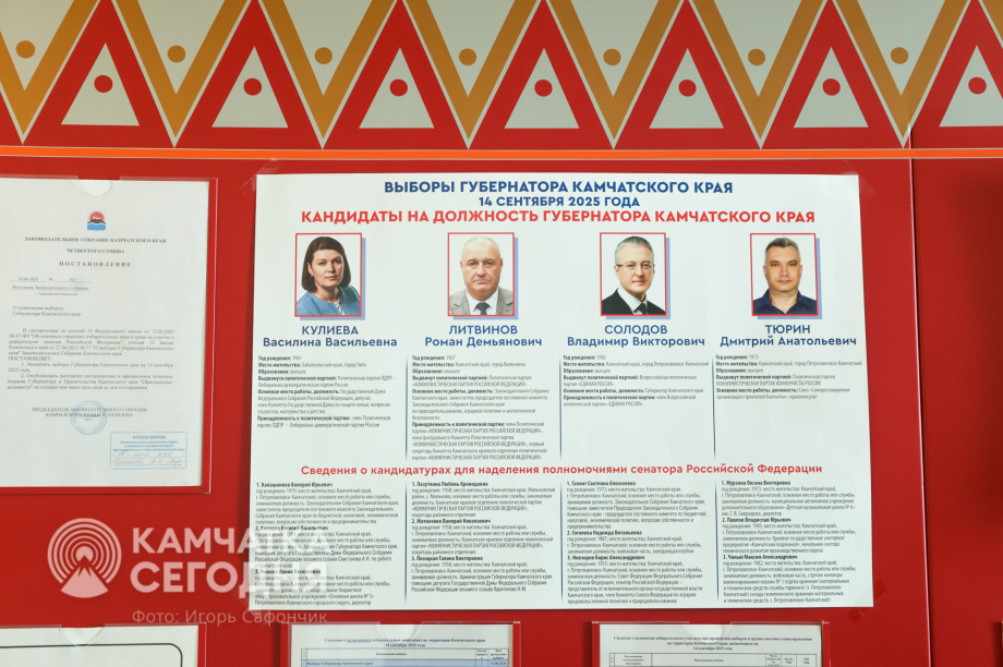 Общественные наблюдатели прошли профподготовку к выборам в Камчатском крае . . Фотография 3