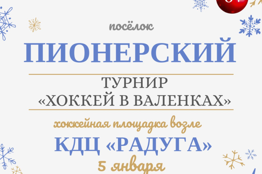 Январские праздники в Елизовском районе. Администрация ЕМР. Фотография 4