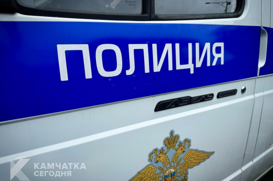 Пьяный водитель на Камчатке распылил газ на сотрудников полиции. Фото: ИА "Камчатка"