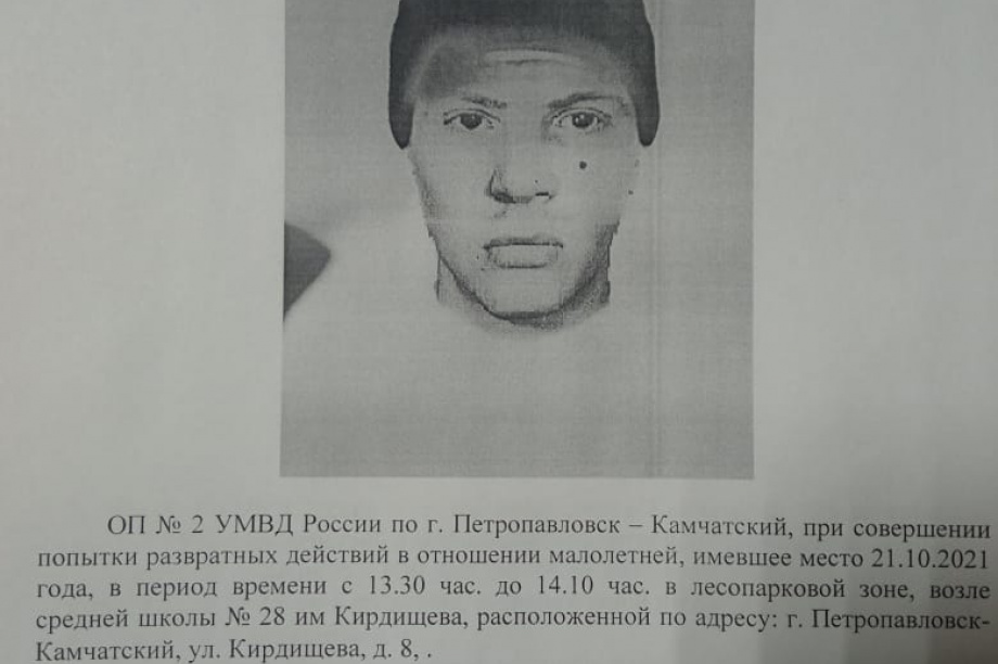 Пристававшего к ребёнку мужчину ищут в Петропавловске-Камчатском. Фото: соцсети