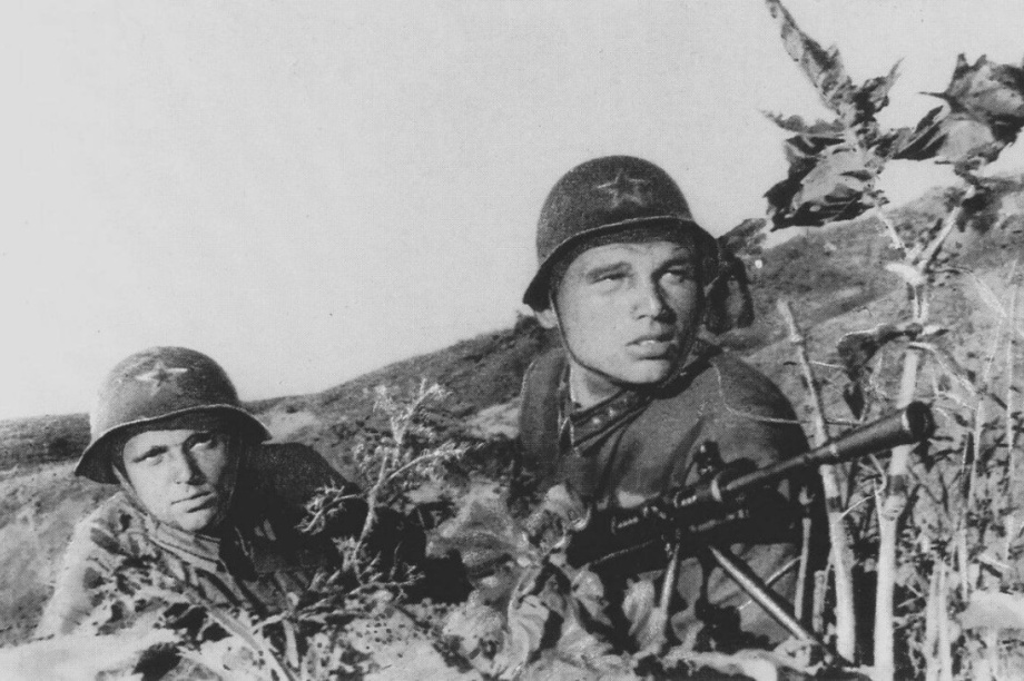 Камчатцев приглашают присоединиться к акции братьев-пограничников. 